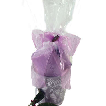 Harmony Flower Pot Gift Pack