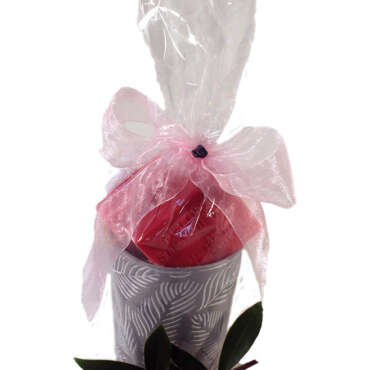 Summer Flower Pot Gift Pack